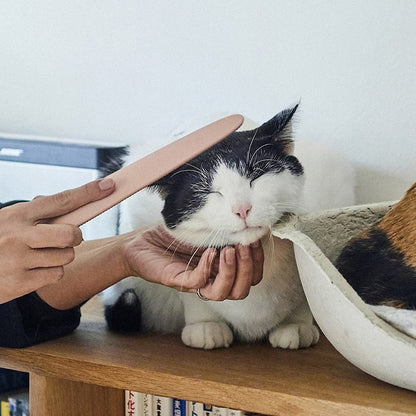 Nekojasuri